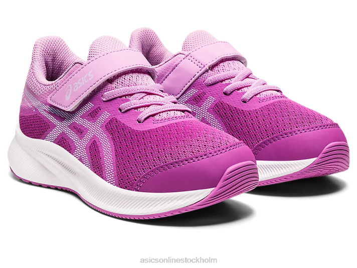 Asics patriot 13 förskola barn D6D04438 orkidé/mjuk himmel