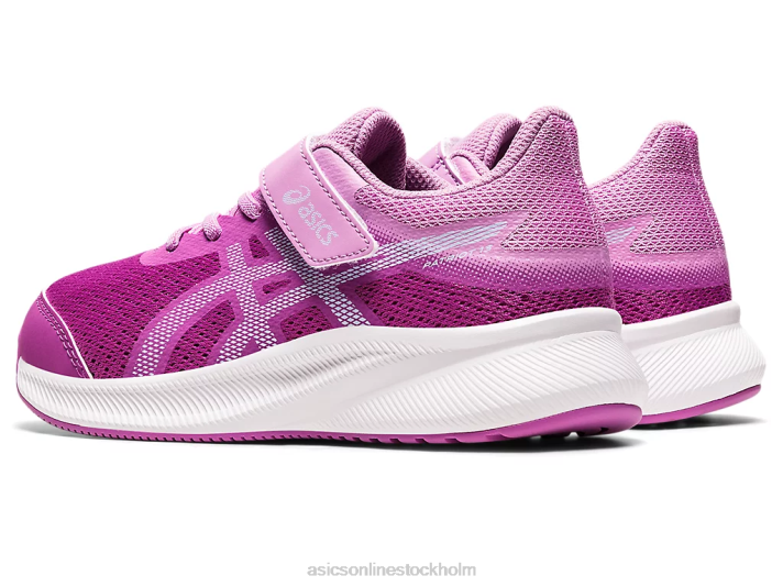Asics patriot 13 förskola barn D6D04438 orkidé/mjuk himmel