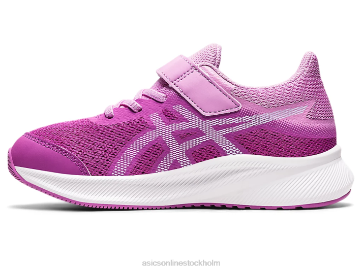 Asics patriot 13 förskola barn D6D04438 orkidé/mjuk himmel