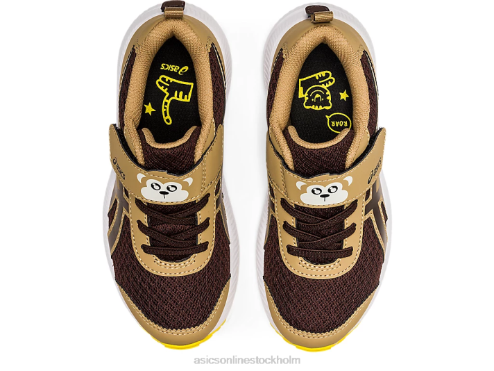 Asics tävla 7 förskola barn D6D04482 kaffe/kaffe
