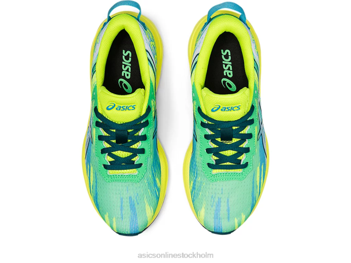 Asics gel-noosa tri 13 årskurs barn D6D04357 ny löv/sammetsfuru