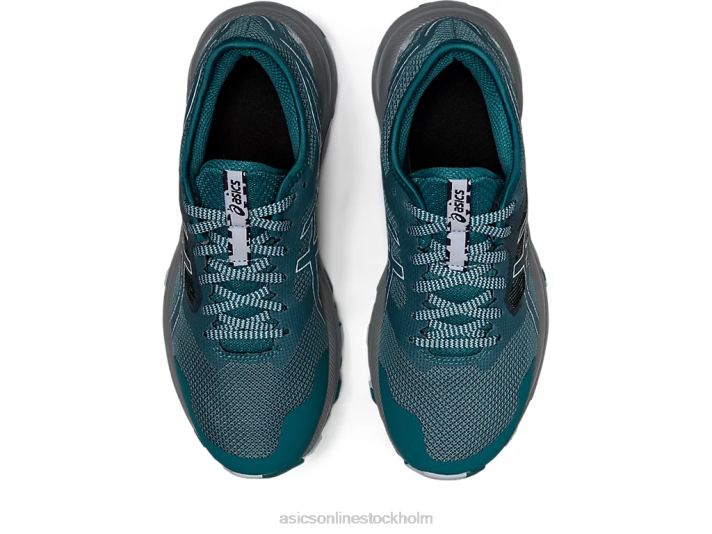 Asics gel-excite spår kvinnor D6D02851 dimmig tall/mjuk himmel