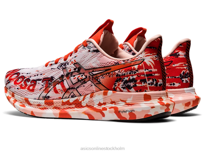 Asics noosa tri 14 kvinnor D6D03120 vit svart