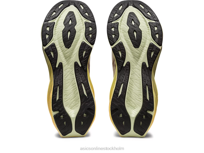 Asics novablast 3 kvinnor D6D02870 grädde/fawn