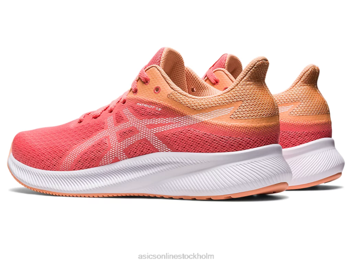 Asics patriot 13 kvinnor D6D02583 papaya/vit