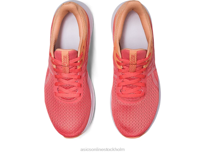 Asics patriot 13 kvinnor D6D02583 papaya/vit