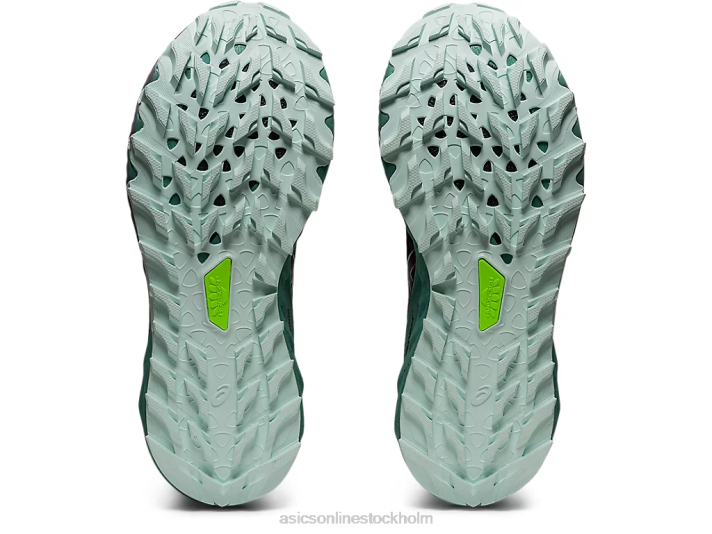 Asics gel-trabuco 10 gtx kvinnor D6D03114 svart/lugnande hav