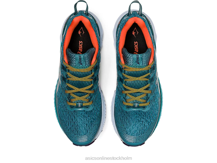 Asics gel-trabuco 10 kvinnor D6D02881 dimmig tall/mjuk himmel