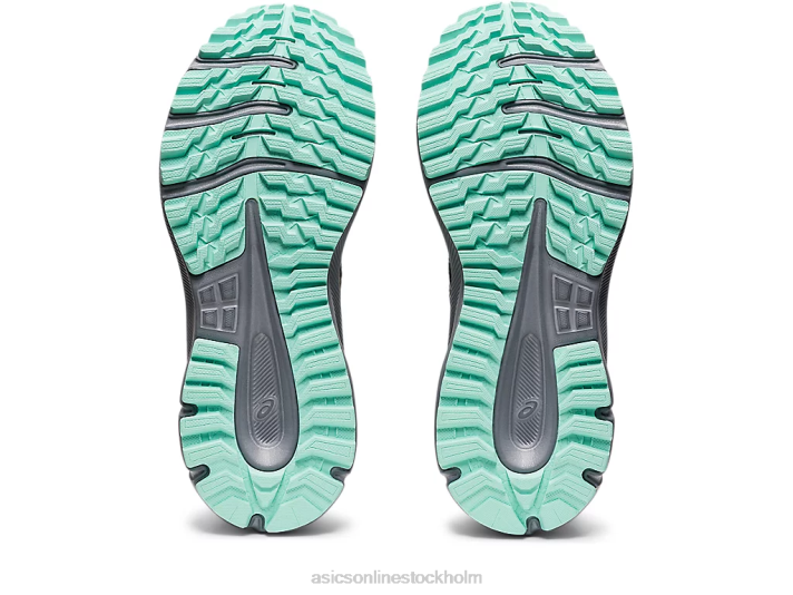 Asics spårscout 2 kvinnor D6D03730 svart/björk