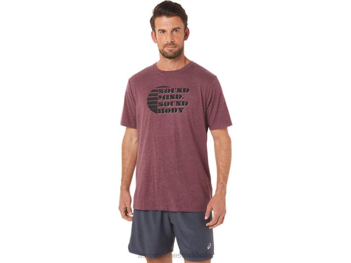 Asics kortärmad slogan t-shirt män D6D01607 djup kärrljung