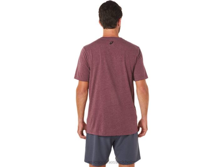Asics kortärmad slogan t-shirt män D6D01607 djup kärrljung