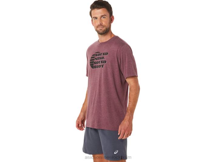 Asics kortärmad slogan t-shirt män D6D01607 djup kärrljung