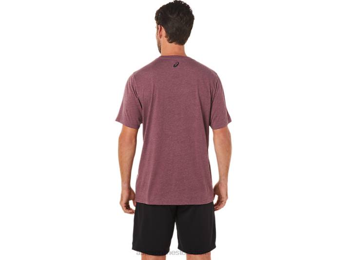 Asics randig kortärmad t-shirt män D6D01643 djup kärrljung