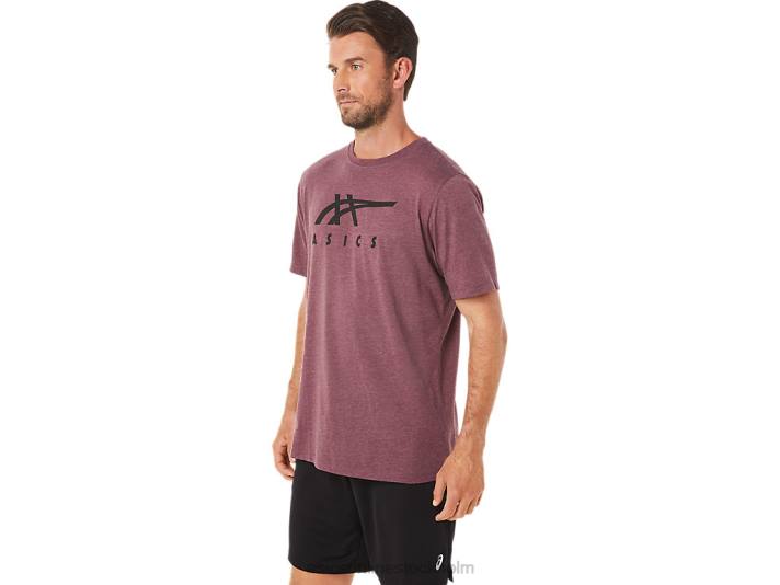 Asics randig kortärmad t-shirt män D6D01643 djup kärrljung