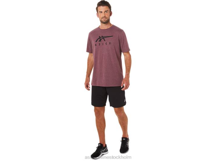 Asics randig kortärmad t-shirt män D6D01643 djup kärrljung