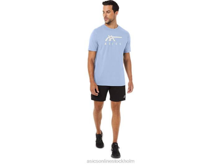Asics randig kortärmad t-shirt män D6D028 mjuk himmel