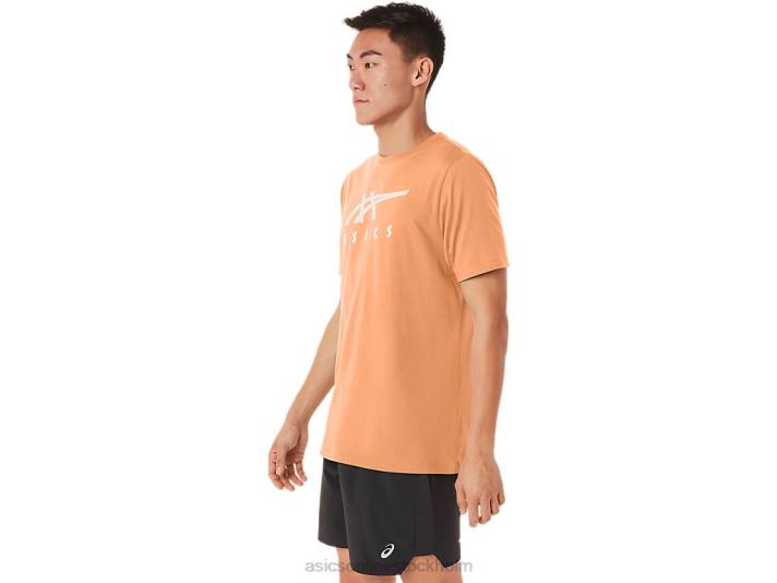 Asics randig kortärmad t-shirt män D6D070 sommardyn