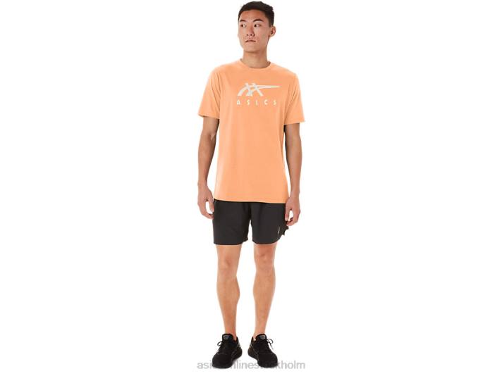 Asics randig kortärmad t-shirt män D6D070 sommardyn