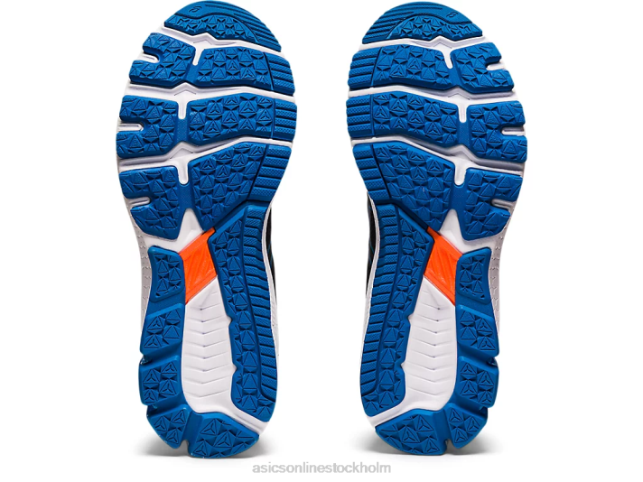 Asics gt-1000 10 män D6D01934 svart/reborn blå