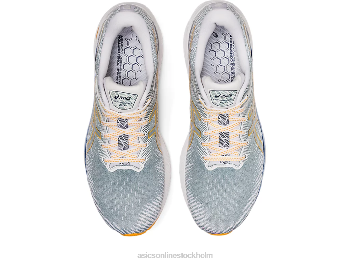 Asics gt-2000 10 män D6D01238 lätt stål/bärnsten