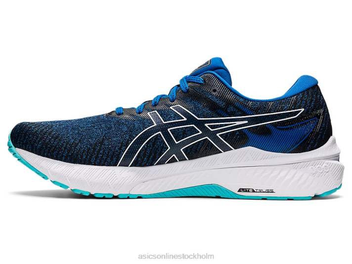 Asics gt-2000 10 män D6D01465 sjödrev/vit