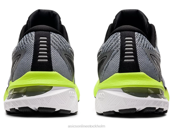 Asics gt-2000 10 män D6D01475 bärare grå/vit