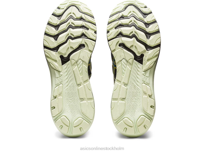 Asics gt-2000 11 gtx män D6D0691 svart/bläck kricka