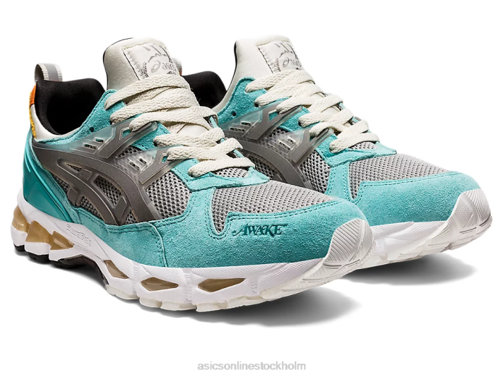 Asics gel-kayano tränare 21 män D6D01545 kricka/rent silver