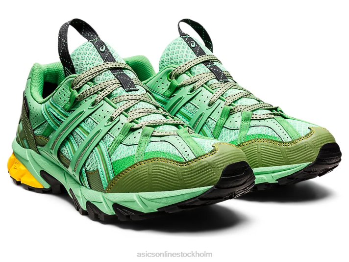 Asics hs4-s gel-sonoma 15-50 gtx män D6D01248 vårbukett/blå grafit