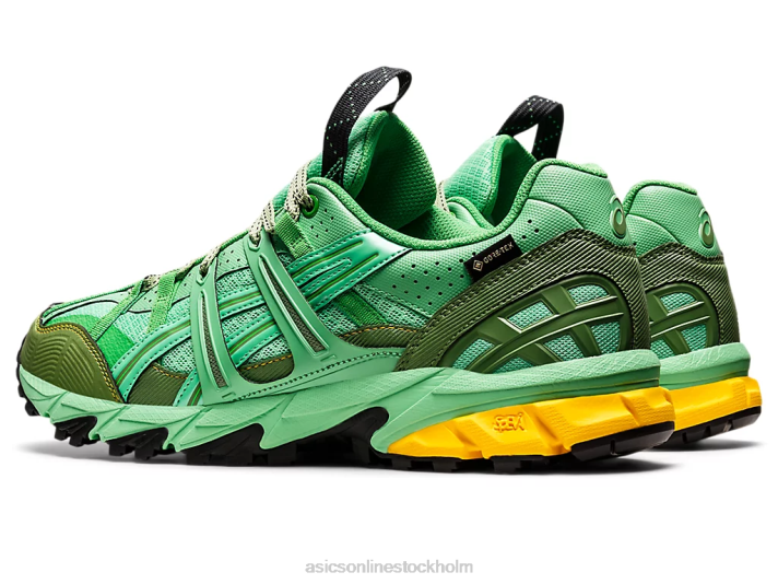 Asics hs4-s gel-sonoma 15-50 gtx män D6D01248 vårbukett/blå grafit