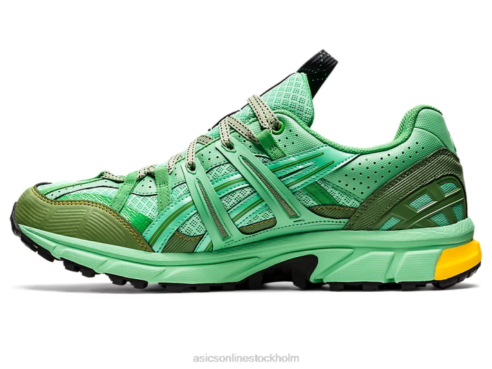 Asics hs4-s gel-sonoma 15-50 gtx män D6D01248 vårbukett/blå grafit