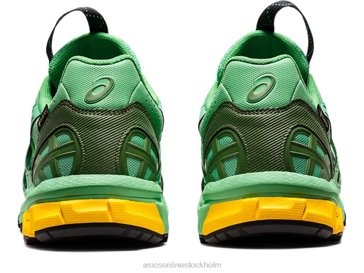 Asics hs4-s gel-sonoma 15-50 gtx män D6D01248 vårbukett/blå grafit