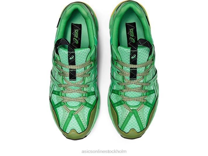 Asics hs4-s gel-sonoma 15-50 gtx män D6D01248 vårbukett/blå grafit