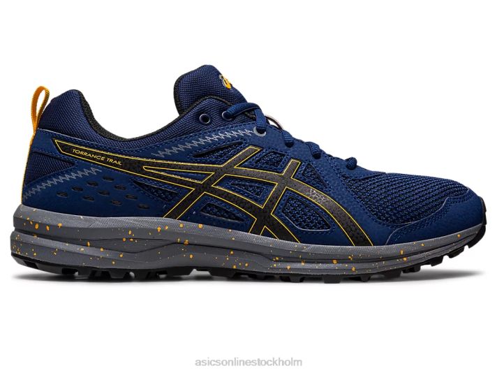 Asics torrans spår män D6D0989 blå vidde/svart