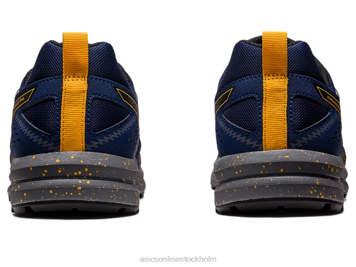 Asics torrans spår män D6D0989 blå vidde/svart