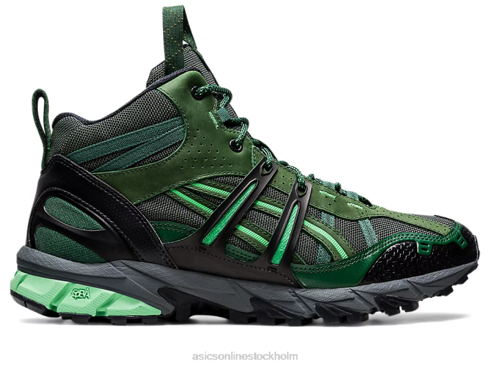 vintergrön/antracit