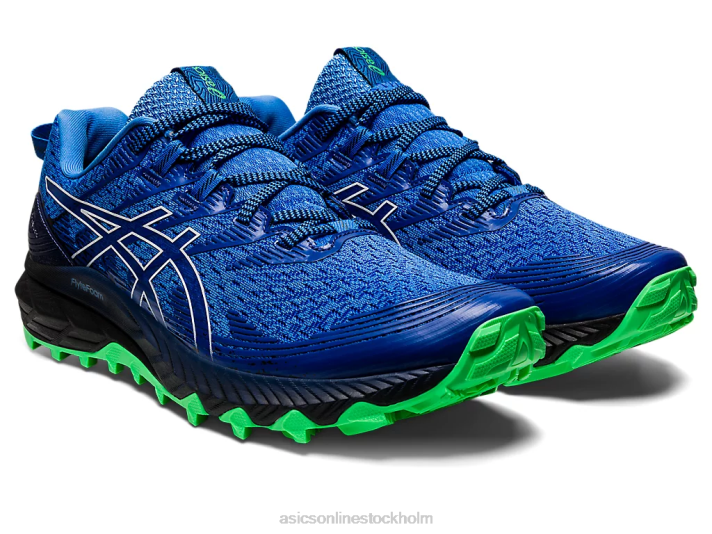 Asics gel-trabuco 10 män D6D0960 blå kust/vit