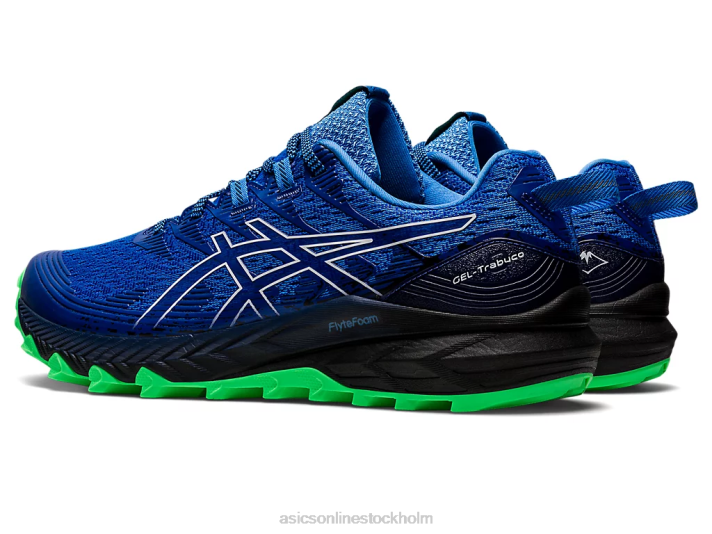 Asics gel-trabuco 10 män D6D0960 blå kust/vit